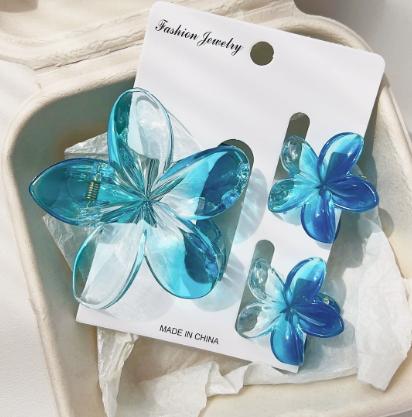 

Frangipani Hair Clip for Women, Beach Vacation , Bauhinia Hairstyle Updo, Clip, Frangipani Three-Piece Set - Transparent Blue One Size золотий