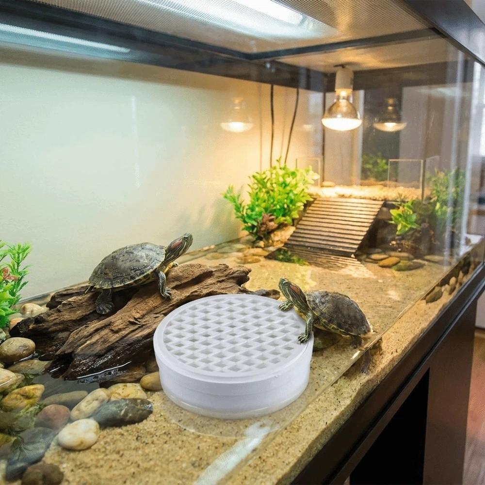 Efficient Turtle Poop Collector Basking Platform Turtle Poop Catcher Feces Collector Turtle Tank