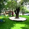 Green Grass Carpet Mats DIY Garden Landscape Outdoor Decorations 2 Sizes Choose