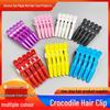 Hairdressing Crocodile and Duckbill Clips for Sectioning, Perming, Dyeing
