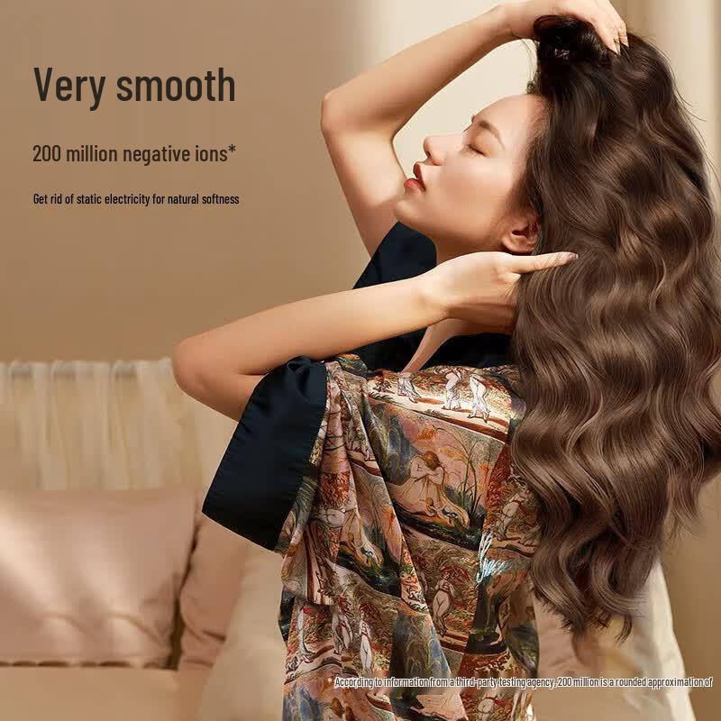 Laifen LF03 High-Speed Negative Ion Hair Dryer CN plug (adapter included)