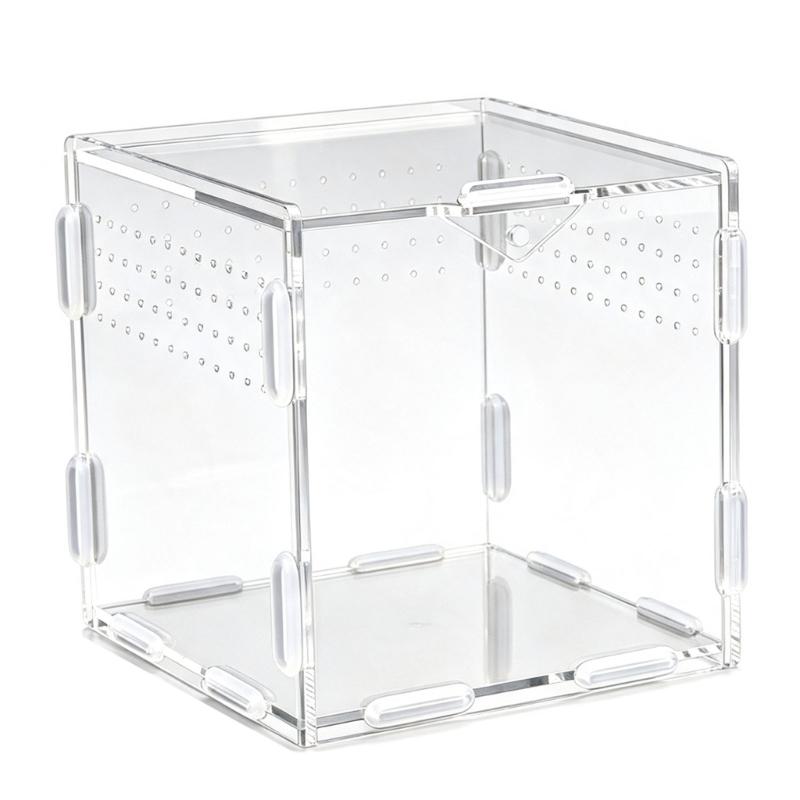Klare Lebensraumbox für kleine Reptilien Tiere, Beobachtungsfenster Acrylgehege Belüftetes Design mit seitlichen und oberen Luftöffnungen