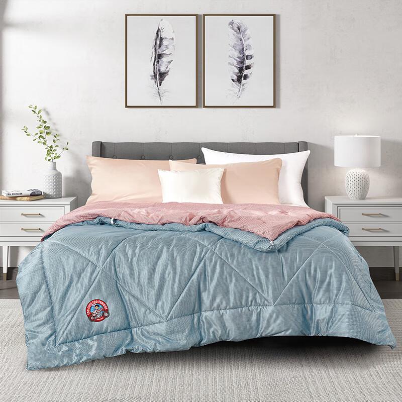 

Paul Frank Dual-Core Warm Comforter