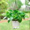 Hanging Plant Pot Set Featuring Self Watering Capability and Stylish Design