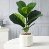 Real Touch Fake Ficus Tree Plastic Faux Ficus Lyrata Plant  Hotel Restaurant Decor