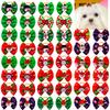 Giyim ve ayakkabı – Köpek Aksesuarları