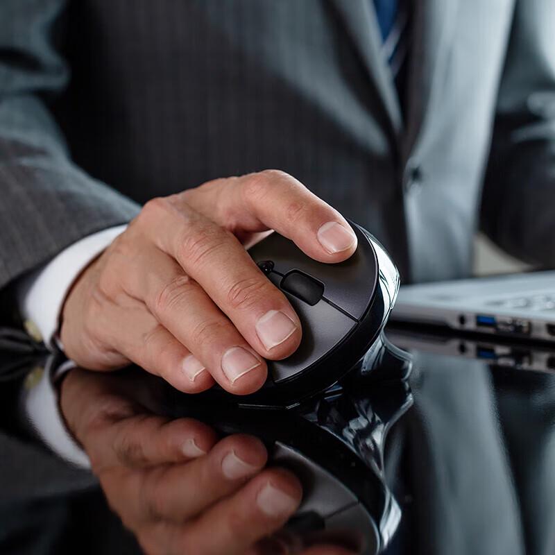 Sanwa Ergonomic Rechargeable Wireless Mouse