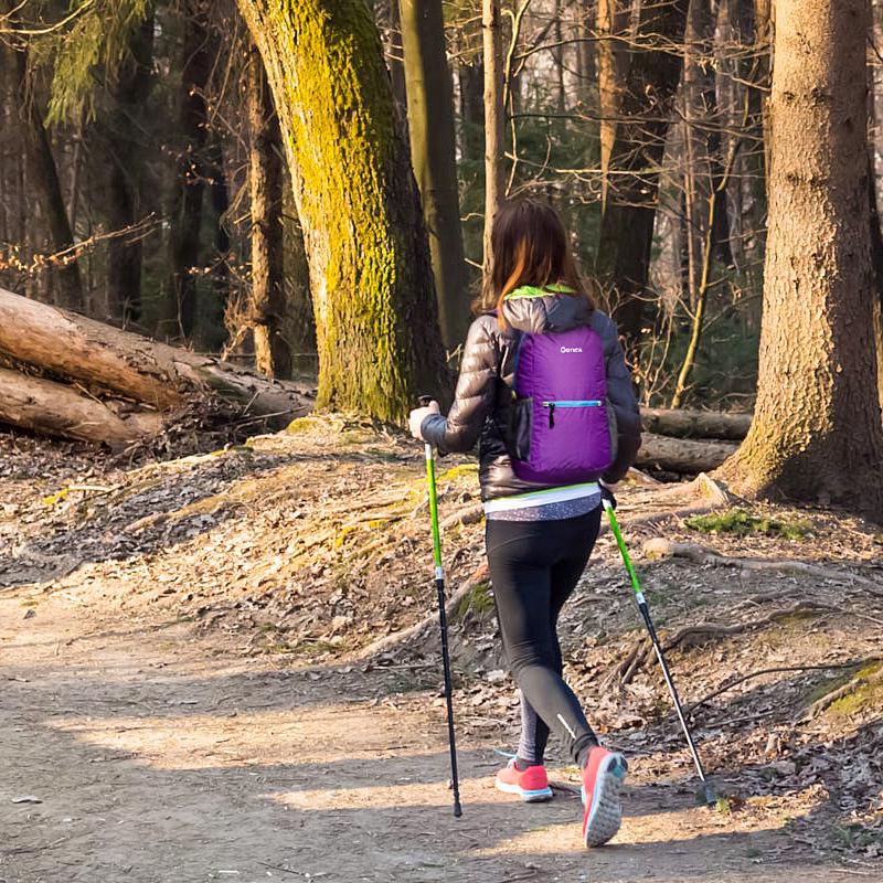 gonex packable backpack