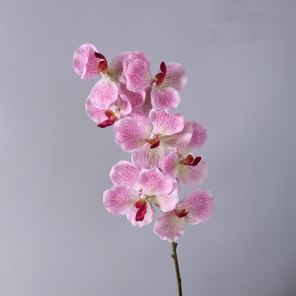 Plastic Phalaenopsis Branch Moisturizing Real Touch Orchids Simulation Flower  Office Decor