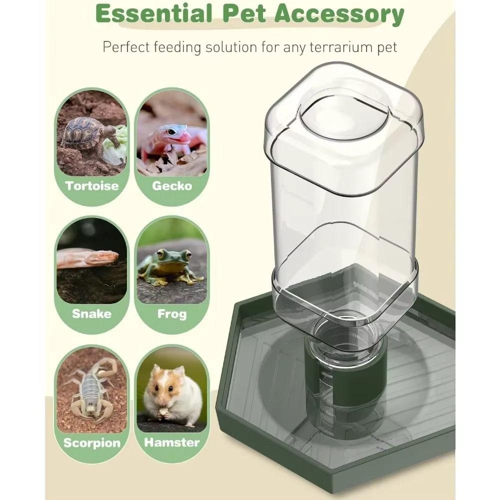 Stable Turtle Water Bowl Anti-slip Automatic Water Dispenser Lizard Food Feeder  for Amphibians