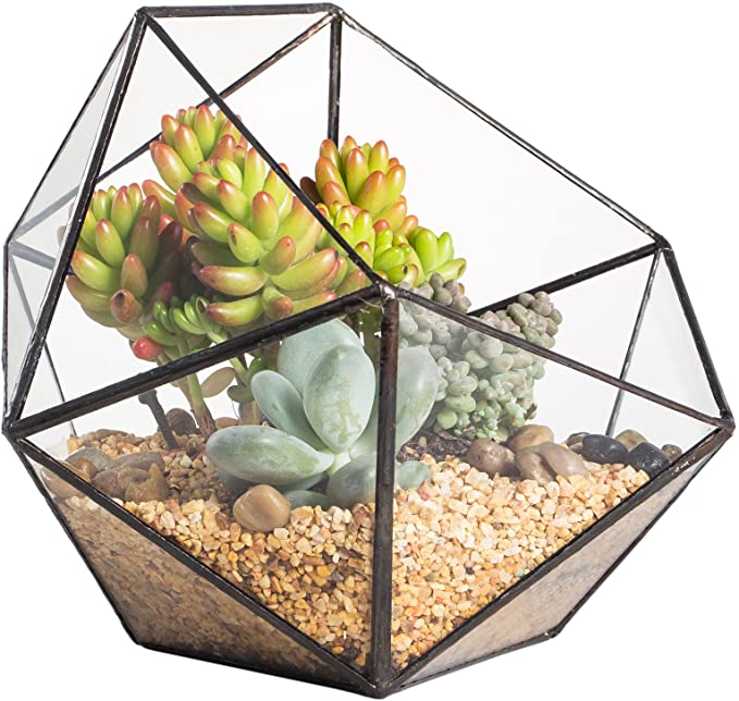 Mini Glass Geometric Terrarium Container Gold Terrarium Set Glass Flower Pot Planter Vase Bowl Display Box Decor