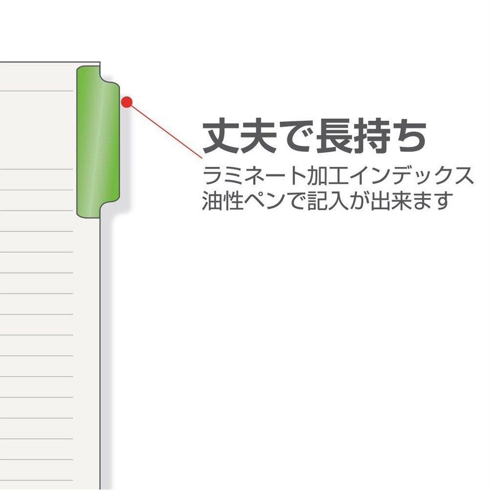 Maruman Index A5 20-Hole (2-Hole Compatible) Index Sheets, 5 Tabs, 1 Set of 10, LT6005