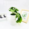 Simulation Epipremnum Aureum Potted Artificial Plant Decor Ornament