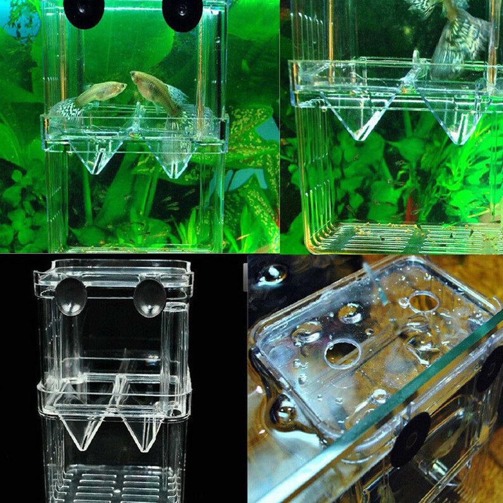 Buy Aquarium Fish Tank Guppy Double Breeding Breeder Rearing Trap Box Hatchery at affordable