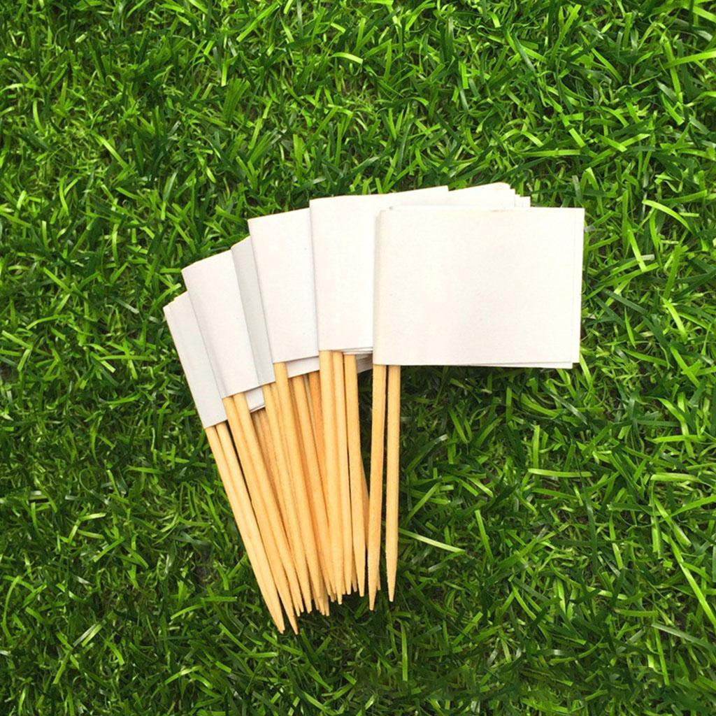 100 Pieces Blank Toothpick Flags Mini Food Labels with Wooden Sticks Cheese Markers Picks for Cupcake Topper Party Decor