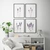 Nordic Style Lavender Botanical Posters Botanical Canvas Painting Farmhouse Wall Art Pictures for Living Room Home Decoration