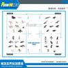 Simulation Antarctic Arctic Penguin Whale Model Mini Polar World Animal Set Static Model Ornament Barrel
