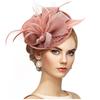 Elegant Tea Party Mesh Hair Band Bowknot Bride Headdress Feathers Fascinator Hat  Dance Show