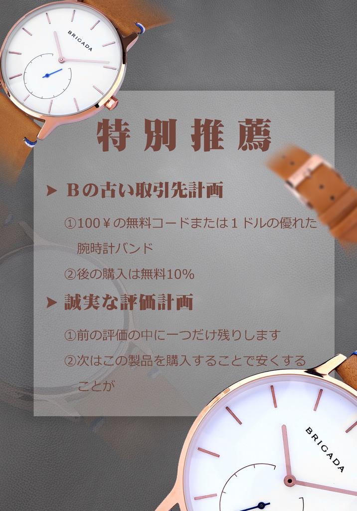 BRIGADA Swiss Brand Watch Popular Luxury Watch Men's (Barakin)