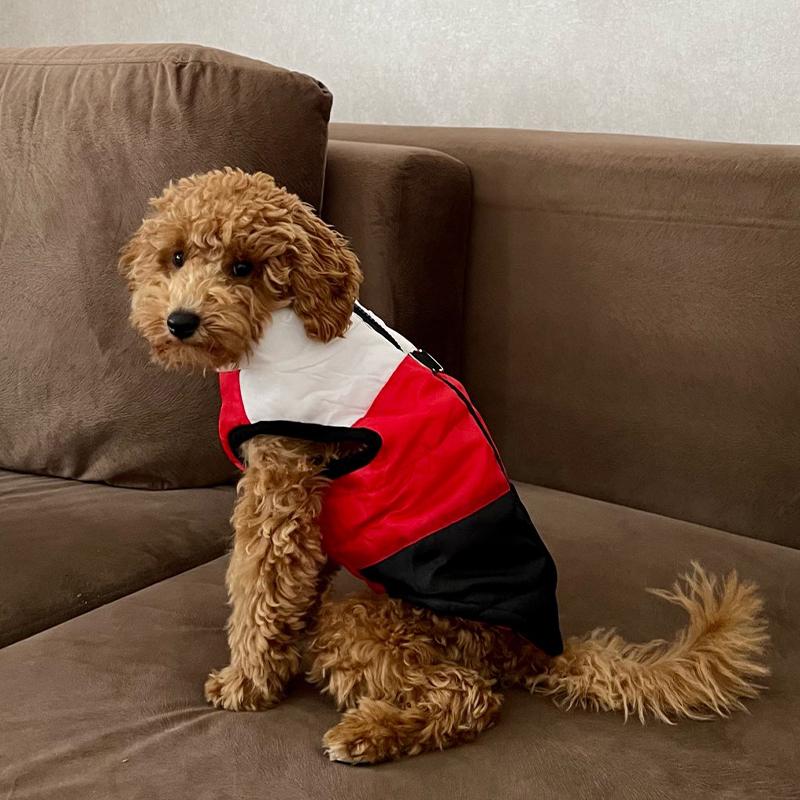 Hundekleidung für kleine Hunde Yorkia Mini Chihuahua Hundekleidung Winterkatzenjacke Mantel für Mopswelpen Daunenmantel Sphynx Haustierbekleidung