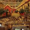 2 Pack 200 LED Solar String Lights Outdoor Waterproof 8 Modes for Tree Patio Garden Christmas Decoration