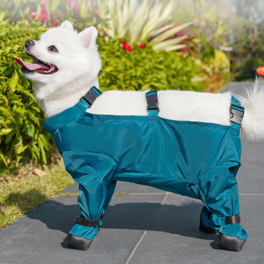 Colanți pentru câini de companie Potriviți pentru câini mari, medii și mici Colanți cu bretele Botine Rezistent la vânt și impermeabil Pui