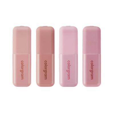 Geek Nude Color Cover Tint 5g 05 Cement