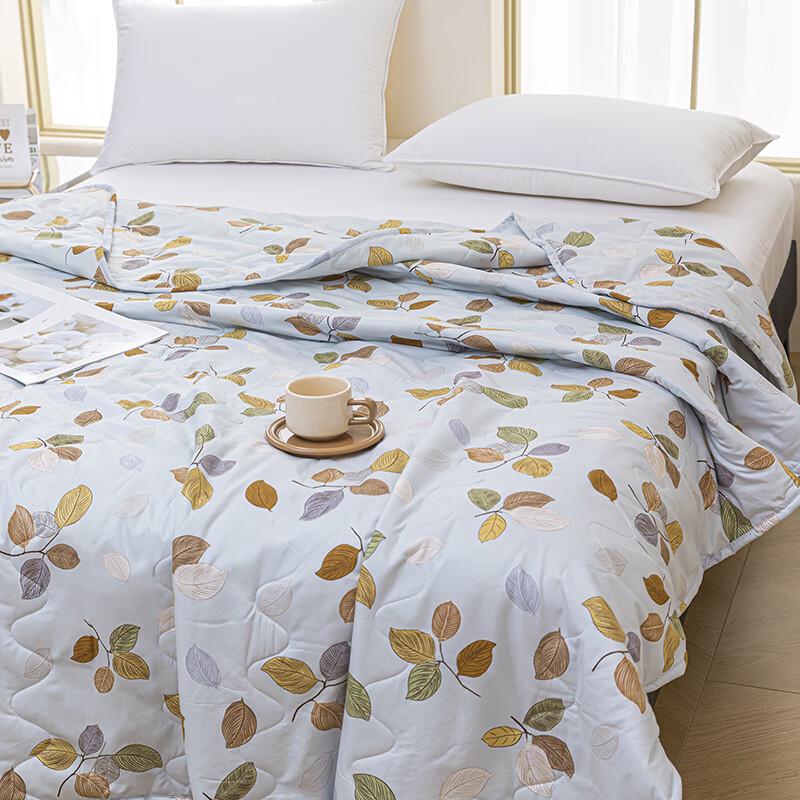 Shanshan Cooling Summer Quilt