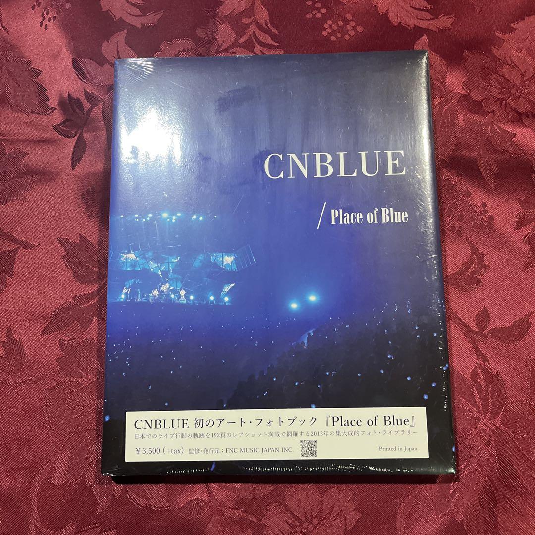 

[USED] CNBLUE Art Book: Place of Blue
