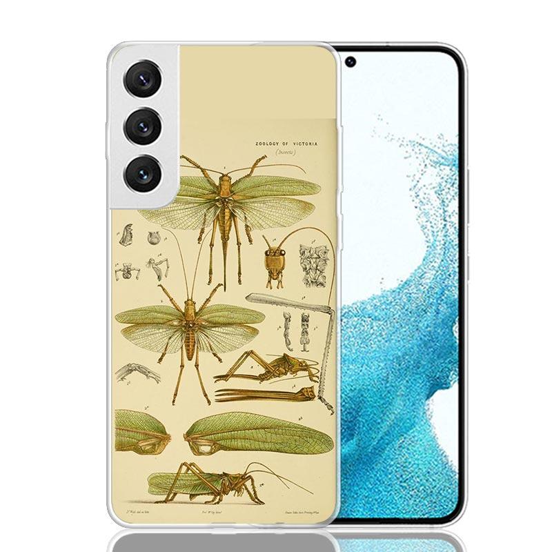 Bugs Bees Scientific Decomposition Phone Case For Samsung Galaxy S26 S25 Edge S24 S23 FE S22 Ultra S21 Plus S20 + Fundas Cover C