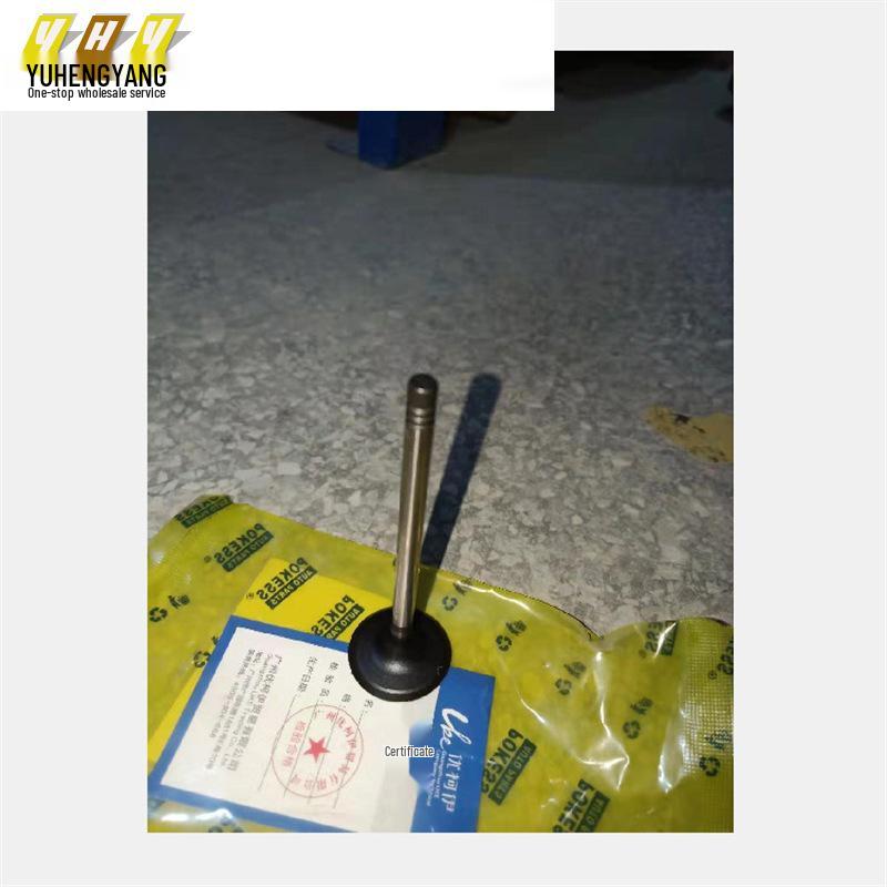 Focus 12-15, EcoSport, Fiesta 13, Escort Intake Valves (Set of 8) 