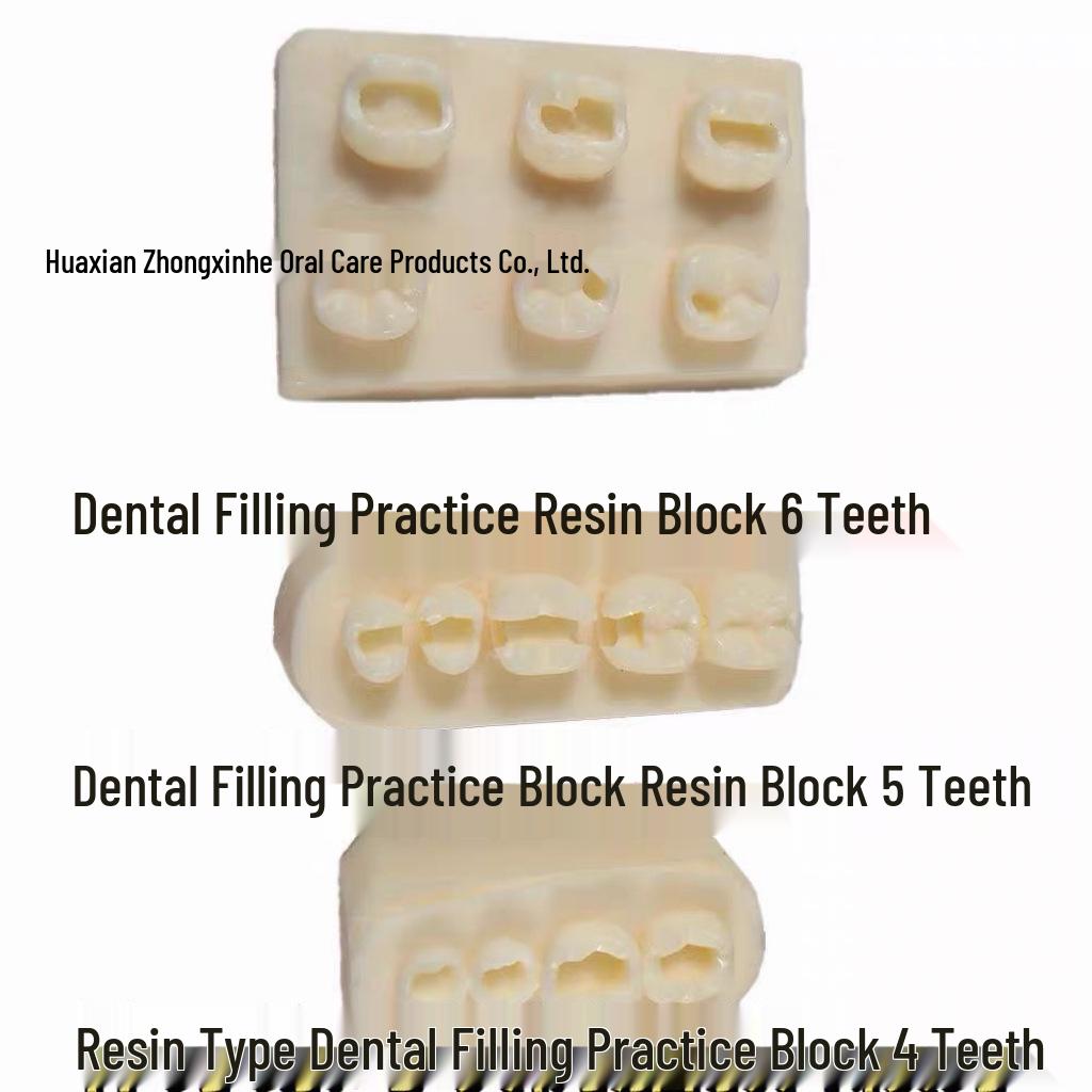 Resin Block for Dental Inlay and Root Canal Practice Model 5