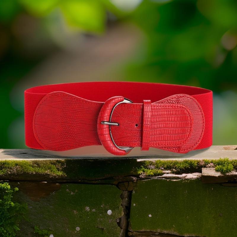 Ladies' Wide Elastic Waist Belt Waist Cincher Adjustable Waist Band with Hook Buckle for Casual and Special Occasion