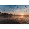 Tamron 11-20mm F2.8 Di III-A RXD Lens for Sony E-Mount (Model B060) - Ultra-Wide Zoom Lens