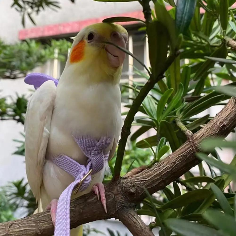 Papagei Vogel Fliegendes Zugseil Verstellbare ultraleichte Geschirrleine mit bequemem Griff