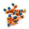 12pcs/Box Mountain Bike Disc Brake Rotor Bolts T25 Alloy Steel Disc Brake Screws for Your Mountain Bike for Repair Shops