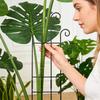 Garden Trellis Metal Vertical Growth Trellis For Plants Vine Support Stakes For Monstera Tomato Flowers Ivy Pots Garden Outdoor