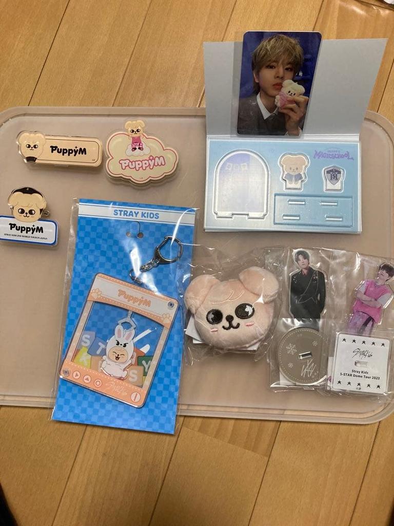 [USED] Straykids Skzoo Papimu