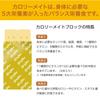Otsuka Pharmaceutical Calorie Mate Block 4 sticks x 10 packs Cheese,