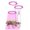 LED Plant Grow Light 5 Dimmable Modes Dual Head Timing USB Plant Lamp for Succulents Potted Plants