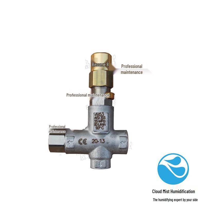 500kg Italian PA VB53 Pressure Regulating Valve Cleaning Machine with High-Pressure Pump