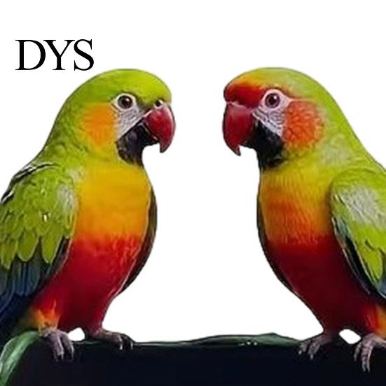 Weather Resistant Wall Hanger Metal Plant Hook Heavy Duty Hanging Basket Bracket Decorative Parrot Decor Cat Flower Butterfly for Planter Lantern Bird