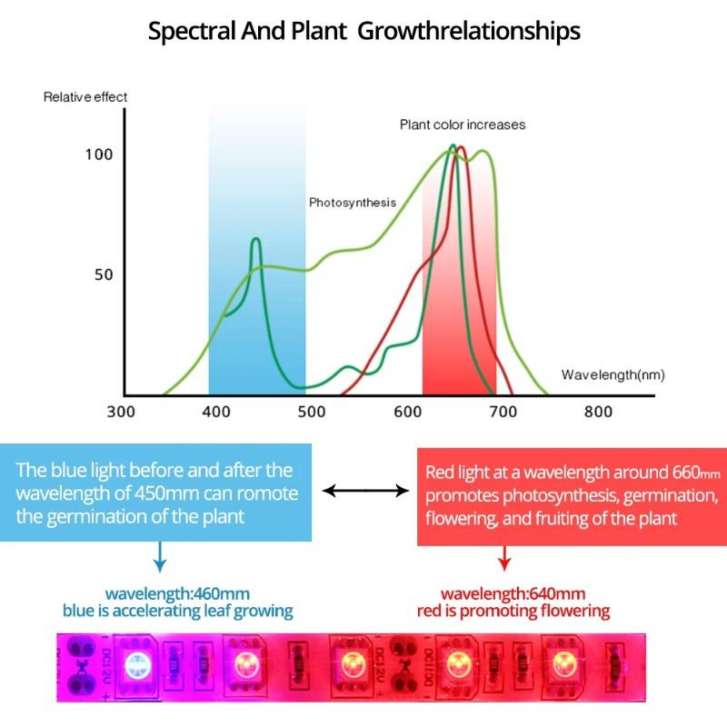 5M Led Grow Plant Lights Strip Full Spectrum Indoor Seeds Greenhouse Lighting Phyto Lamp For Plants Hydroponics Growing System