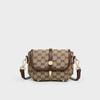 Bags Women's Autumn and Winter New Messenger Bags Women's Bags Light Luxury Niche High-end Small Bags Shoulder Bags Luggage
