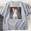 I May Be Stupid T-shirt Funny Silly Meme Cat T ShirtCasual Short Sleeve Tshirts Print Fashion Tee Clothes Tops