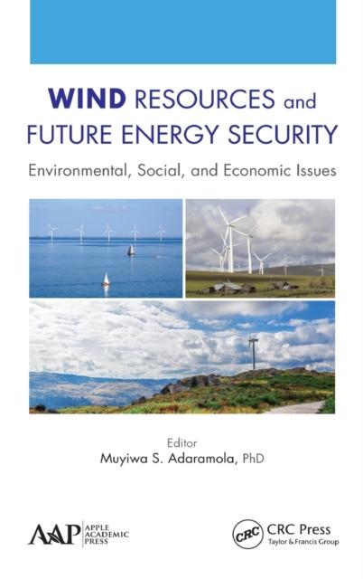 Kniha Wind Resources and Future Energy Security : Environmental, Social, and Economic Issues