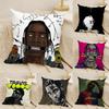 Legendary Rapper T-Travis Scott Pillow Case Linen Cushion Covers For Decorative Sofa Home Pillows Case Car Chair Pillows Cases