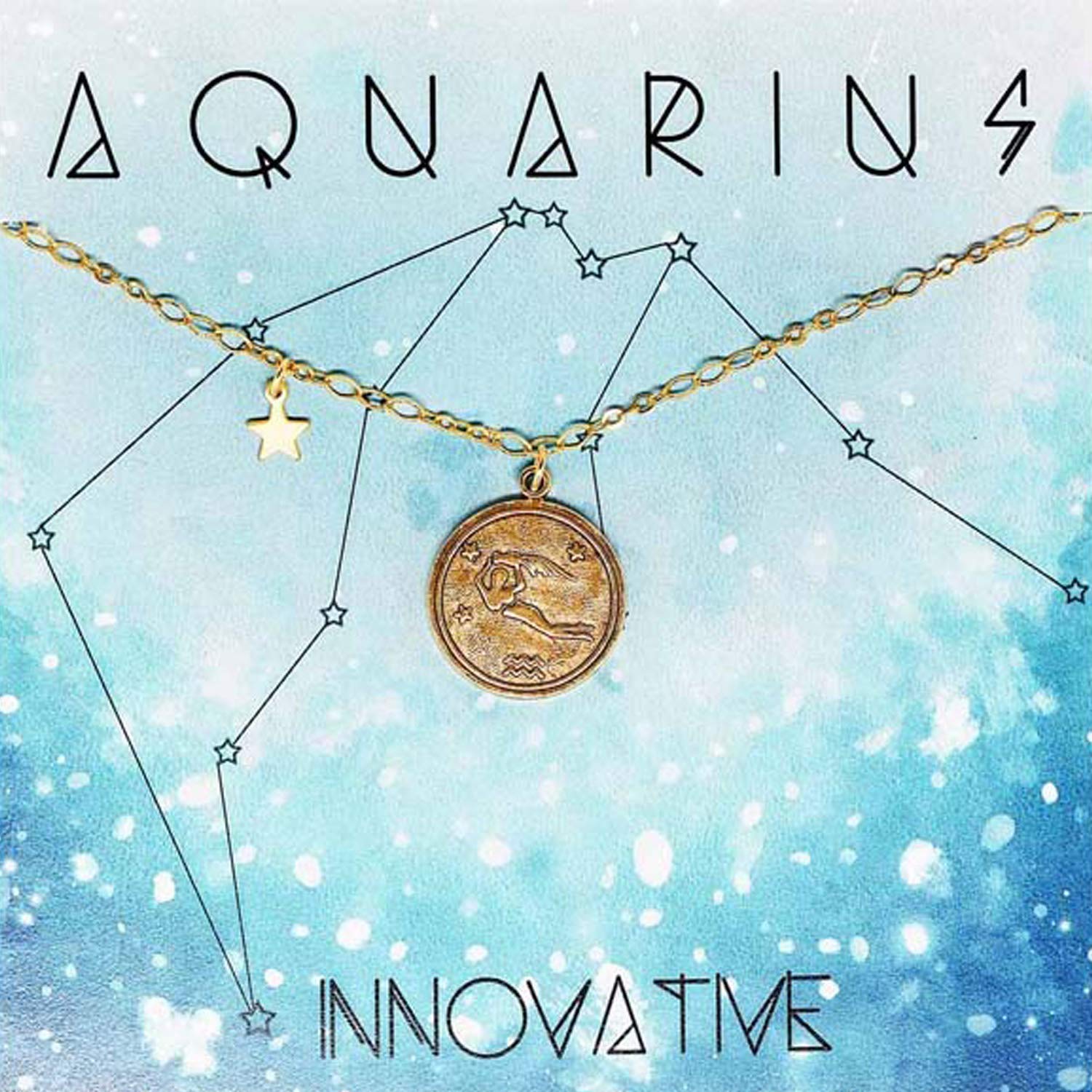 

Amano Studio Zodiac Medallion - Aquarius Constellation Necklace Jewelry Aquarius Gift