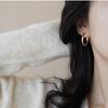 Cold Wind Vein Circle Earrings Senior Sense Niche Design Simple Versatile Light Luxury Elegant Minimalist Hoop Ear Jewelry