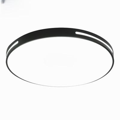 Oeny LED Ceiling Light